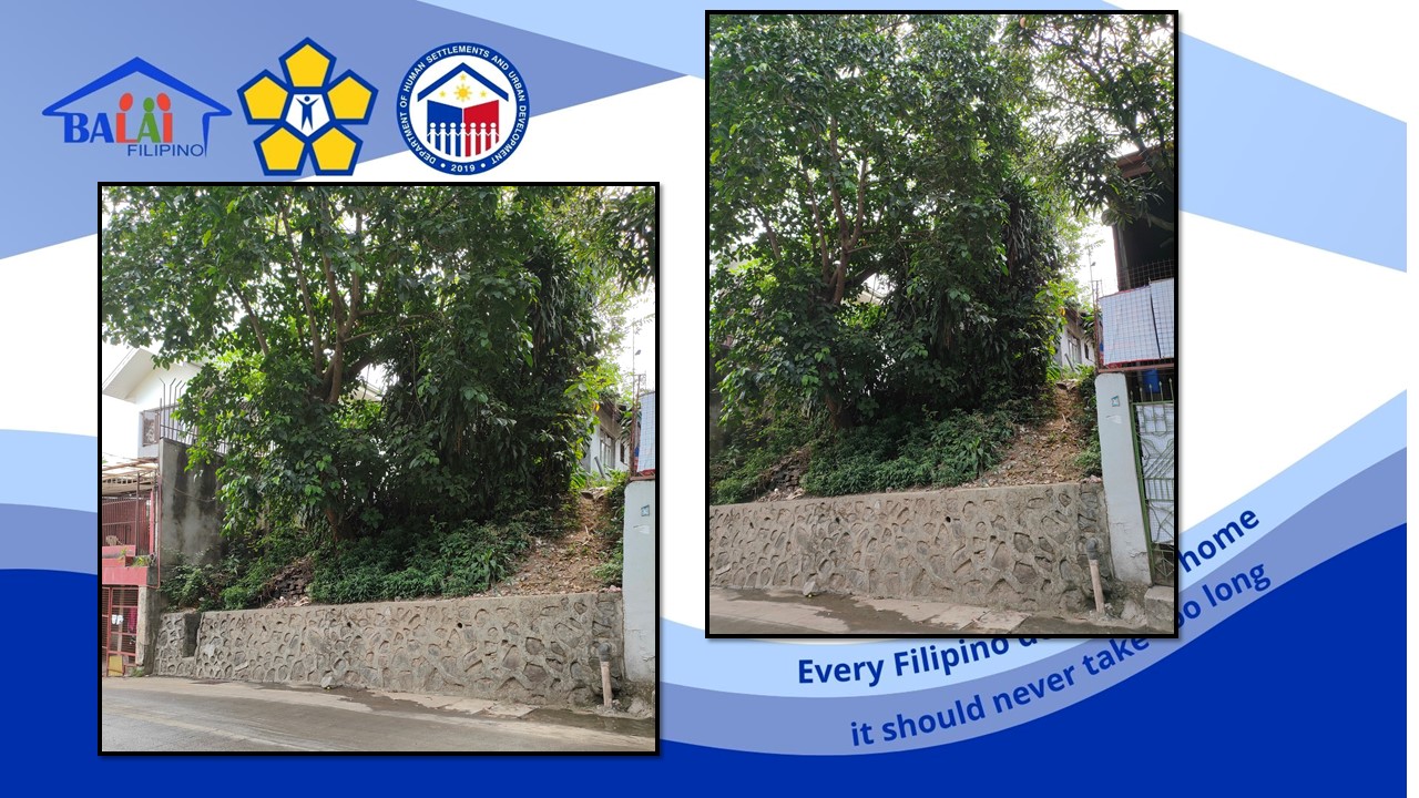 B05 L18 RAFAELITOS ST., PIEDRA BLANCA SUBD. SAN ISIDRO, ANTIPOLO, RIZAL is available on acquired assets