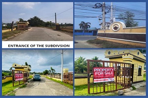 LOT 22, BLOCK 7, VILLAGIO MARIELLA SUBDIVISION, BRGY. MATINGAIN II, LEMERY, BATANGAS is available on acquired assets